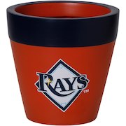 Store Tampa Bay Rays Lawn Garden